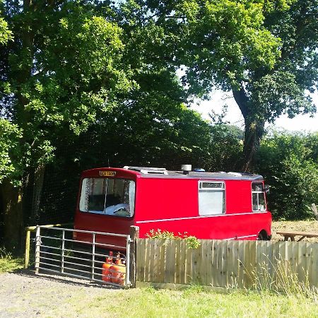 Отель The Megabus Near Tavistock And Dartmoor. Lamerton Экстерьер фото