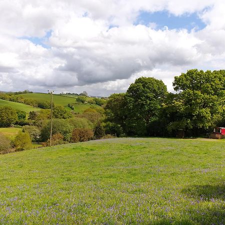 Отель The Megabus Near Tavistock And Dartmoor. Lamerton Экстерьер фото