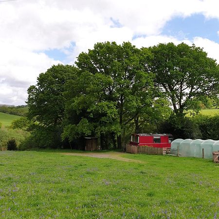 Отель The Megabus Near Tavistock And Dartmoor. Lamerton Экстерьер фото