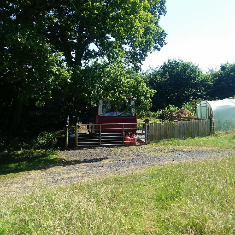 Отель The Megabus Near Tavistock And Dartmoor. Lamerton Экстерьер фото